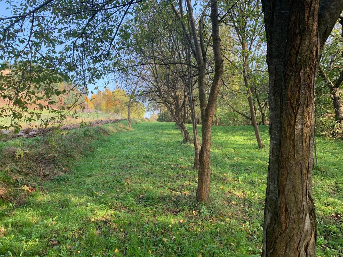 Conacul Maramuresean Bilgar Bogdan Vodă Exterior foto