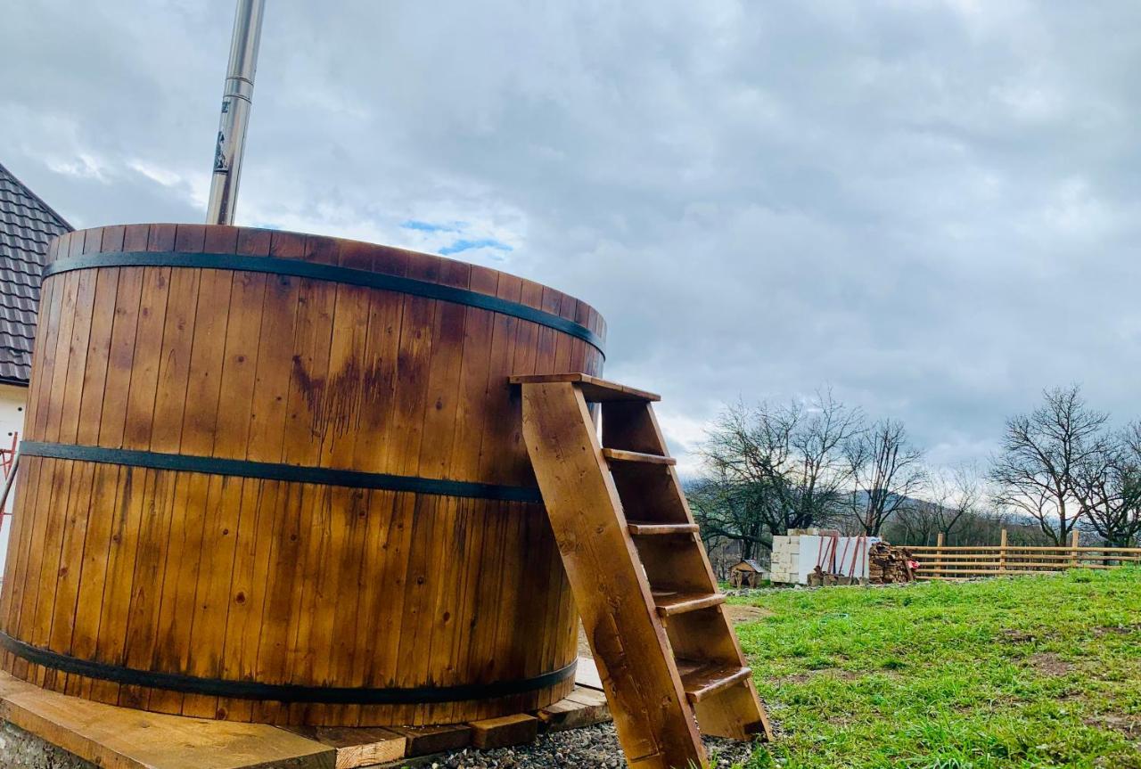 Conacul Maramuresean Bilgar Bogdan Vodă Exterior foto